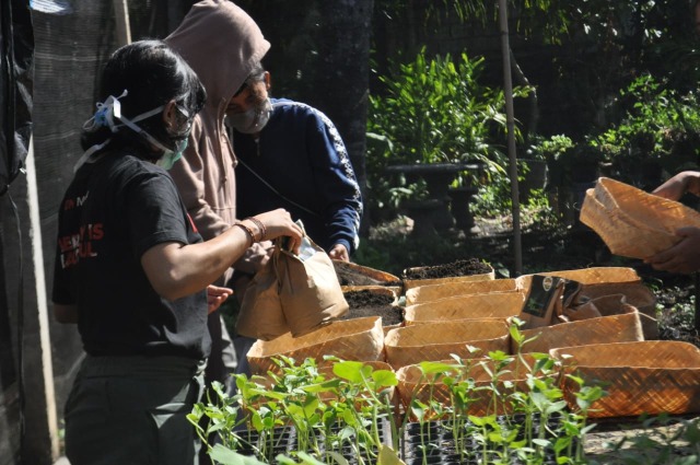 Penyiapan paket benih tanaman yang akan dibagi gratis- IST