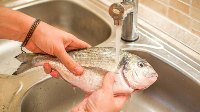 Ilustrasi membersihkan ikan. Foto: Shutter Stock