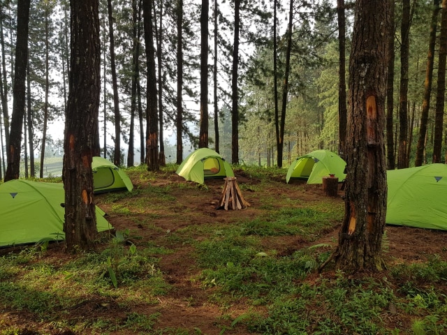 Tenda-tenda yang didirikan di tengah hutan pinus lereng Gunung Slamet, Kabupateb Tegal. (Foto: Ali Burhan)