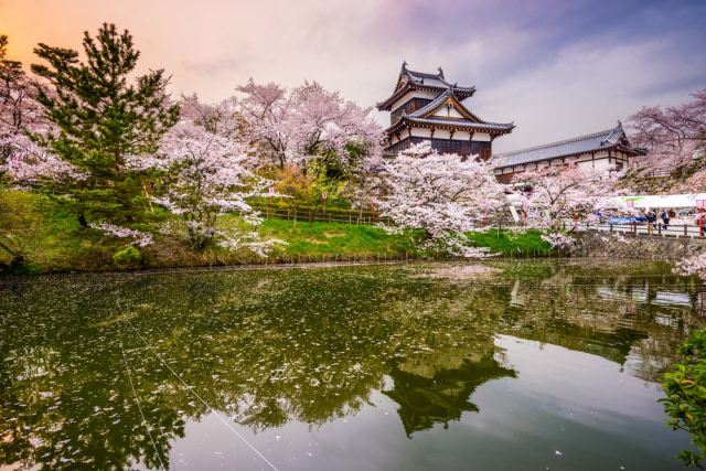 Yamato Jepang Foto: Shutterstock 
