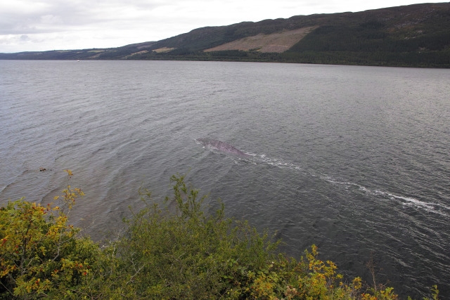 Foto Hewan Misterius di Loch Ness, Skotlandia
