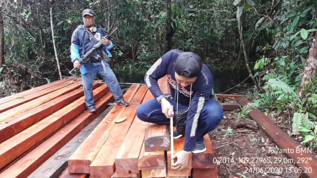 Kayu-kayu yang diduga hasil pembalakan liar di Kalbar. Foto: Dok Balai Gakkum LHK Wilayah Kalimantan