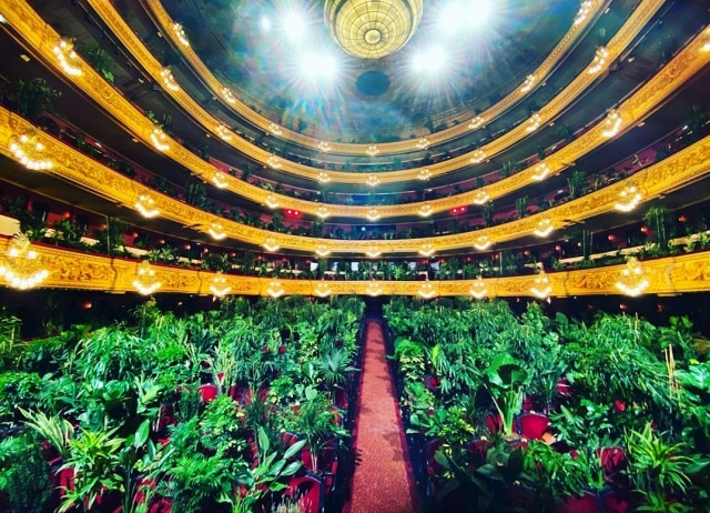 Teater Dipenuhi Ribuan Tanaman Hias Foto: Instagram/ Gran Teatre del Liceu