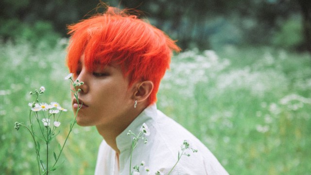 G-Dragon Dikritik Netizen, Disebut Abaikan Anjing Peliharaan Foto: dok. Kumparan