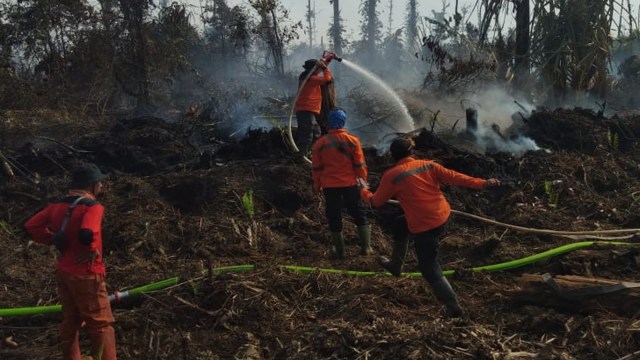PETUGAS memadamkan api yang membakar lahan gambut di Pelalawan, Riau, Senin (29/6/2020).