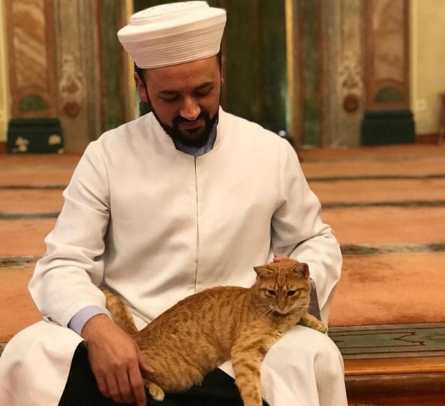 Hafiz Mustafa Efe Bersama Kucing Liar Foto: Instagram/Hafiz Mustafa Efe