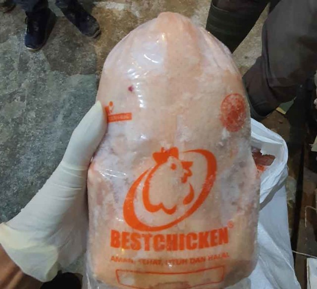 Daging ayam asal Sumut dikirim ke tiga kota di Indonesia. Foto: Istimewa