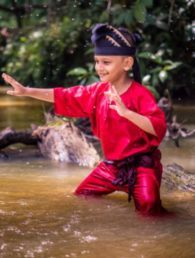 Ilustrsi pencak silat. Foto: Shutterstock