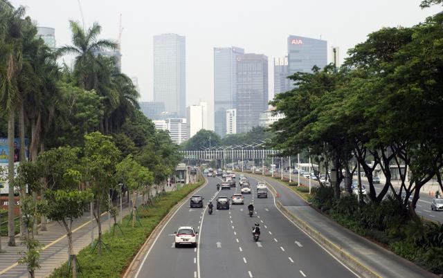 4 Manfaat Pemetaan Pohon Secara Partisipatif bagi Pembangunan Jakarta (317557)