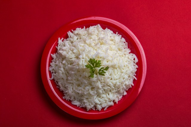 Ilustrasi makanan yang disajikan di atas piring merah. Foto: dok.Shutterstock