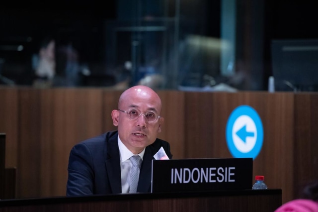 Dubes RI/Delegasi Tetap RI untuk UNESCO, Arrmanatha Nasir, pada Sidang ke-209 Dewan Eksekutif UNESCO, 2 – 3 Juli 2020. Foto: KBRI Paris