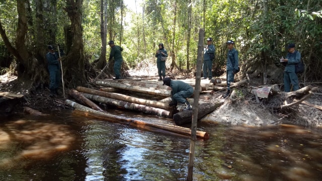 2 Pemodal Ilegal Loging di Kalbar Ditetapkan sebagai Tersangka (66942)
