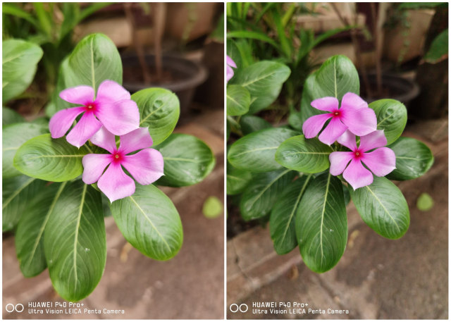 Review Huawei P40 Pro Plus: Paket Lengkap Smartphone Flagship Fotografi (101517)