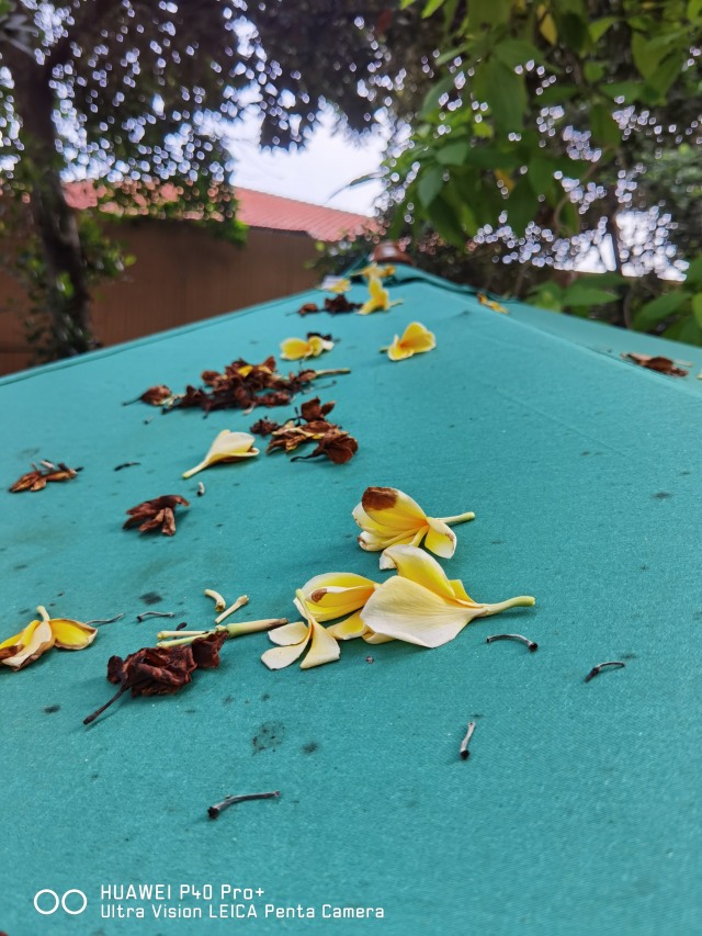 Review Huawei P40 Pro Plus: Paket Lengkap Smartphone Flagship Fotografi (101522)