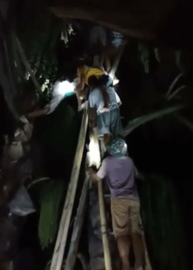 Seorang pemuda di NTB hilang diculik makhluk halus saat beli tuak dan ditemukan pingsan di atas pohon aren. Foto: Facebook Bali Watch