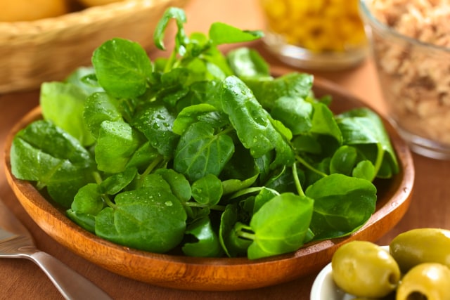 Ilustrasi sayuran selada air Foto: dok.Shutterstock