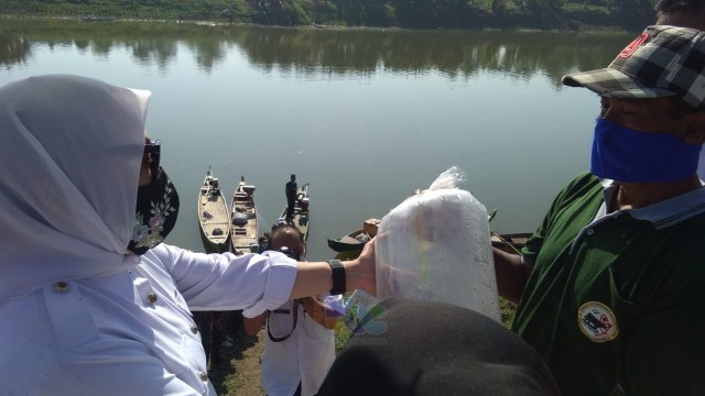 Bupati Bojonegoro, Dr Hj Anna Muawanah, secara simbolis serahkan 25 ribu bibit ikan air tawar, kepada perwakilan kelompok pembudidaya ikan (Pokdakan) desa Kabalan Kecamatan Kanor. Rabu (08/07/2020)