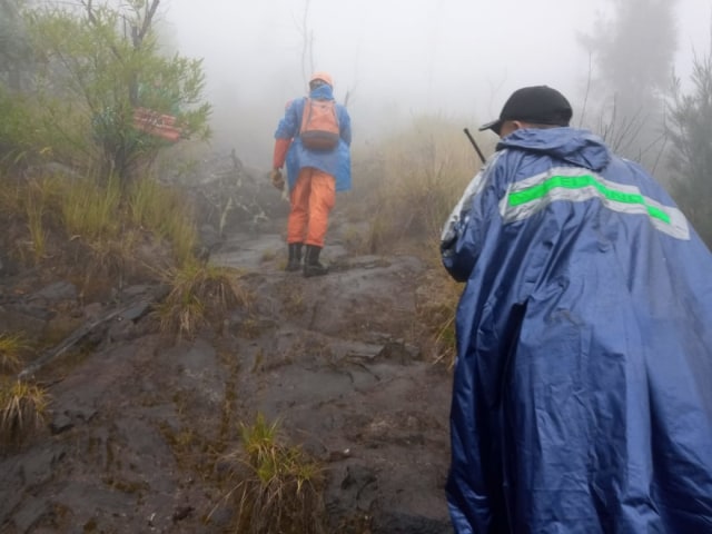 Tim Basarnas melakukan pencarian jejak 2 pendaki yang hilang - IST