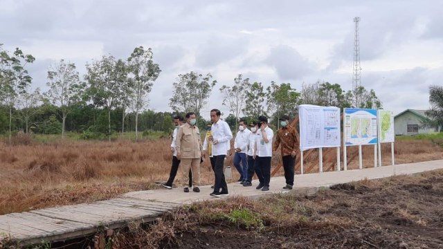 Presiden Joko Widodo didampingi Menhan Prabowo Subianto meninjau lokasi lumbung pangan nasional (food estate) di Kapuas, Kalimantan Tengah.  Foto: Sepres