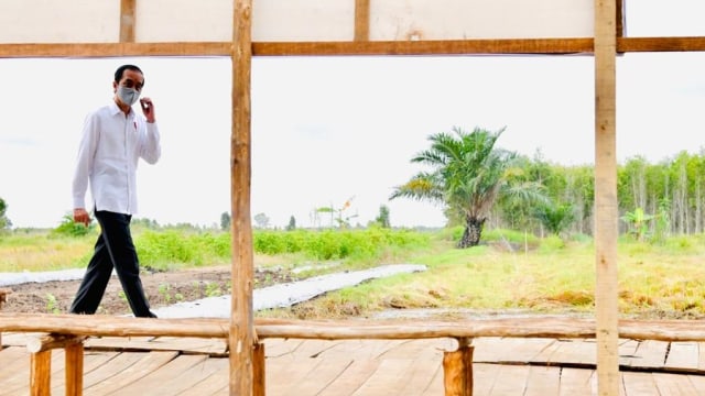 Presiden Joko Widodo saat meninjau lumbung pangan nasional di Kabupaten Kapuas, Kalimantan Tengah. Foto: Biro Pers Sekretariat Presiden