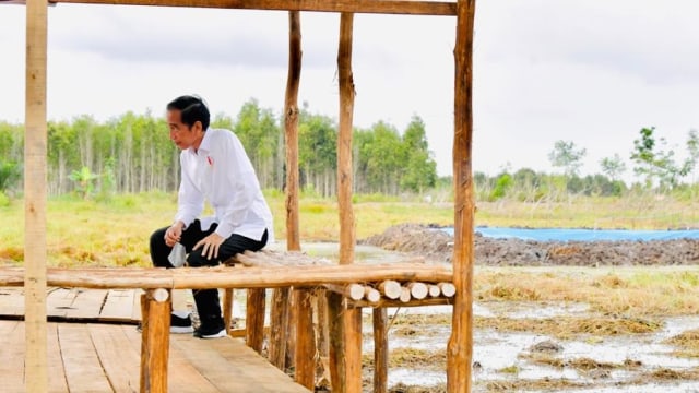 Presiden Joko Widodo saat meninjau lumbung pangan nasional di Kabupaten Kapuas, Kalimantan Tengah. Foto: Biro Pers Sekretariat Presiden