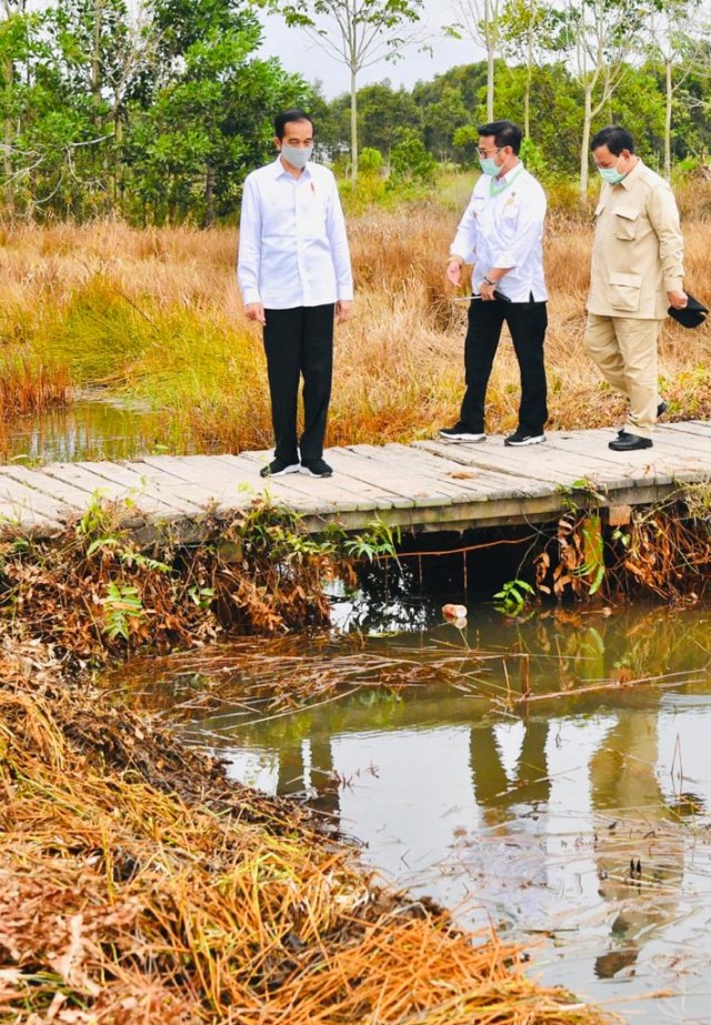 Presiden Joko Widodo saat meninjau lumbung pangan nasional di Kabupaten Kapuas, Kalimantan Tengah. Foto: Biro Pers Sekretariat Presiden