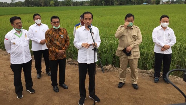 Presiden Jokowi tinjau project lumbung pangan nasional di Kabupaten Pulang Pisau, Kalimantan Tengah, Kamis (9/7(. Foto: Rafyq Panjaitan/kumparan