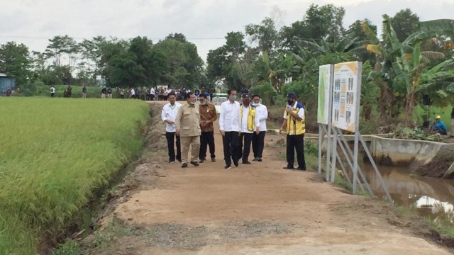 Presiden Jokowi tinjau project lumbung pangan nasional di Kabupaten Pulang Pisau, Kalimantan Tengah, Kamis (9/7(. Foto: Rafyq Panjaitan/kumparan