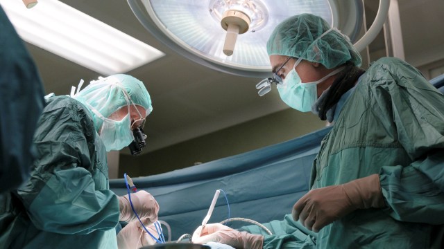 Luhut Ingin RS Johns Hopkins Buka Cabang di RI, Dokter Asing Bisa Masuk (252418)
