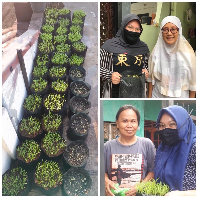 kegiatan pembagian tanaman dan planting kitI kepada warga