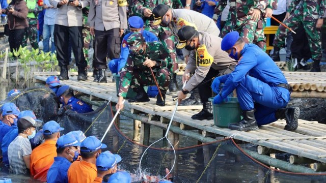 Polda Jateng laksanakan panen raya ikan serentak. Foto: Dok. Istimewa