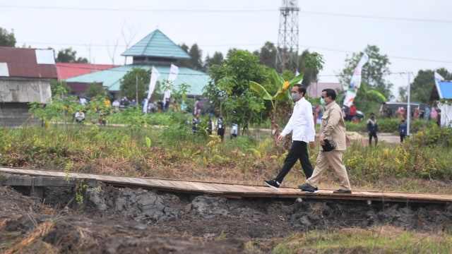 Presiden Joko Widodo (kiri) didampingi Menhan Prabowo Subianto meninjau lahan yang akan dijadikan Food Estate atau lumbung pangan baru di Kapuas, Kalteng. Foto: Hafidz Mubarak A/ANTARA FOTO