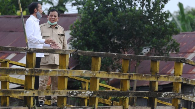 Presiden Joko Widodo (kiri) didampingi Menhan Prabowo Subianto meninjau lahan yang akan dijadikan Food Estate atau lumbung pangan baru di Pulang Pisau, Kalteng. Foto: Hafidz Mubarak A/ANTARA FOTO