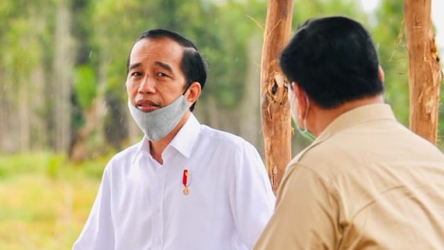 Ahli Wabah ke Jokowi: Puncak Corona September? Juli Aja Masih Ngegas Tipis-tipis (19811)