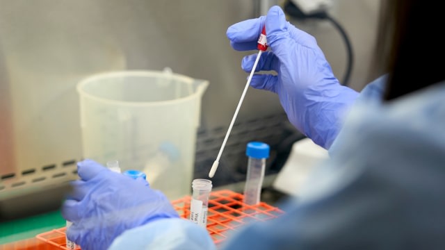 Petugas lab menyiapkan sampel sebelum pengujian virus corona (COVID-19). Foto: Cooper Neill/REUTERS