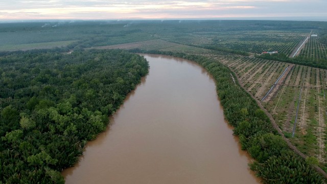 Foto udara kondisi tutupan hutan mangrove di kawasan penyangga Cagar Alam Hutan Bakau Pantai Timur Sumatera yang sebagiannya telah beralih fungsi. Foto: Wahdi Septiawan/ANTARA FOTO