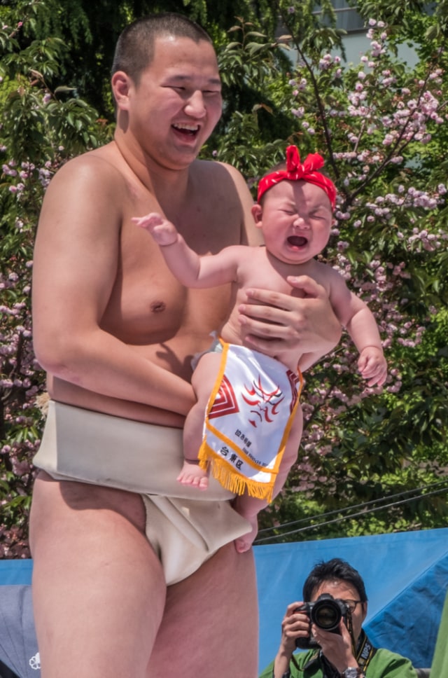 Festival Naki Sumo di Jepang Foto: Shutter Stock