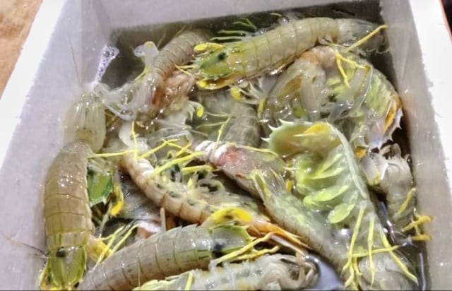 Pengiriman udang ketak dari Jambi ke Jakarta di stop. Foto: Ist