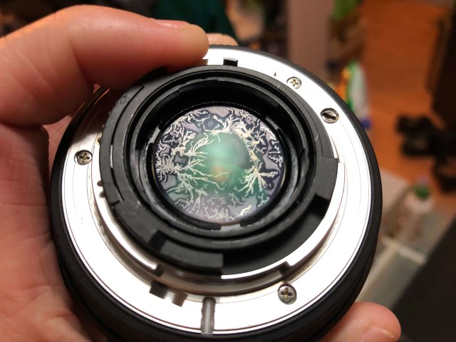 Yang Harus Dilakukan Supaya Lensa Kamera Nggak Jamuran | kumparan.com
