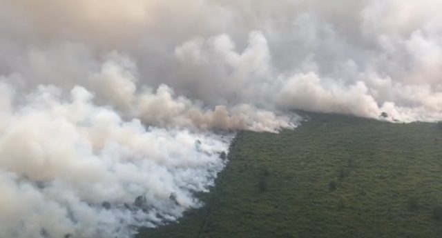Kebakaran lahan gambut di Sumsel. (Foto: BPBD Sumsel)