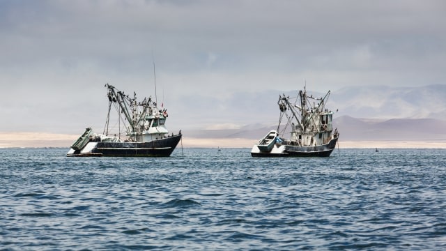 Ilustrasi kapal nelayan (Foto: terex/Thinkstock)