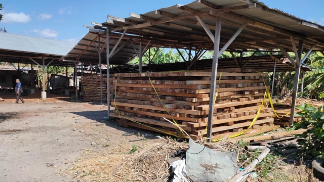 Satuan Polisi Kehutanan Reaksi Cepat (SPORC) sita kayu Merbau dan Meranti ilegal asal Maluku. Foto: Dok. KLHK