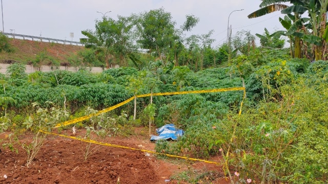 Seorang wanita tanpa identitas ditemukan tewas di sebuah kebun milik warga di jalan H. Saimin, Limo, Depok, Jawa Barat. Foto: Polsek Limo