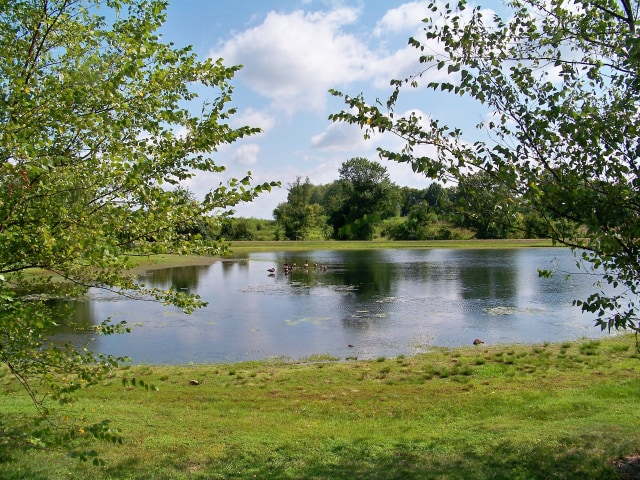Ilustrasi Danau Mountain. Foto: Pixabay