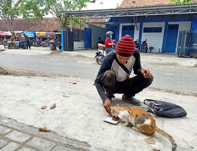 Darmawan sedang memberi makan kucing jalanan di Mejasem.