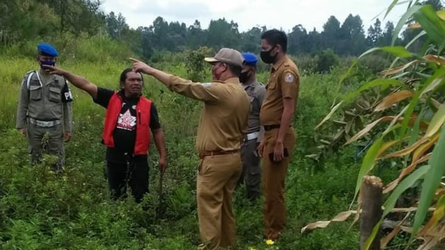 Palasik Darah Ternak di Tapanuli Utara Terekam CCTV: Bentuknya Sejenis Musang (293601)