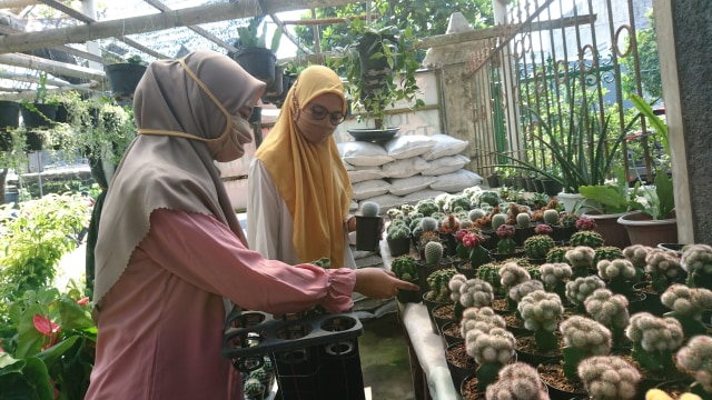 Merawat Kaktus Jadi Salah Satu Hobi yang Tren Kala Pandemi (1873)