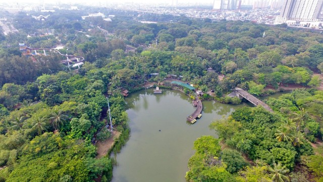 com-Kawasan terbuka hijau di Taman Impian Jaya Ancol. Foto: Taman Impian Jaya Ancol