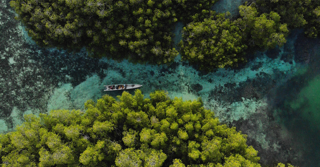 Foto aerial di Pulau Friwen, Kecamatan Waigeo Selatan, Kabupaten Raja Ampat, Provinsi Papua Barat. Pulau Friwen menjadi salah satu destinasi favorit untuk menikmati wista bawah air. (Yayasan EcoNusa/Moch. Fikri)