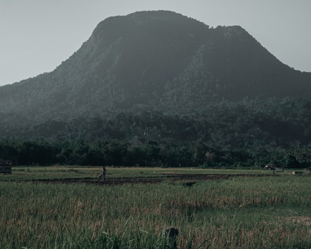 Bentang Alam Pulau Kalimantan Secara Umum Kumparan Com
